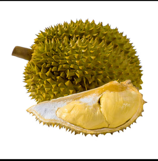durian(Anchor development)
